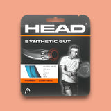 Head Synthetic Gut