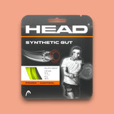 Head Synthetic Gut